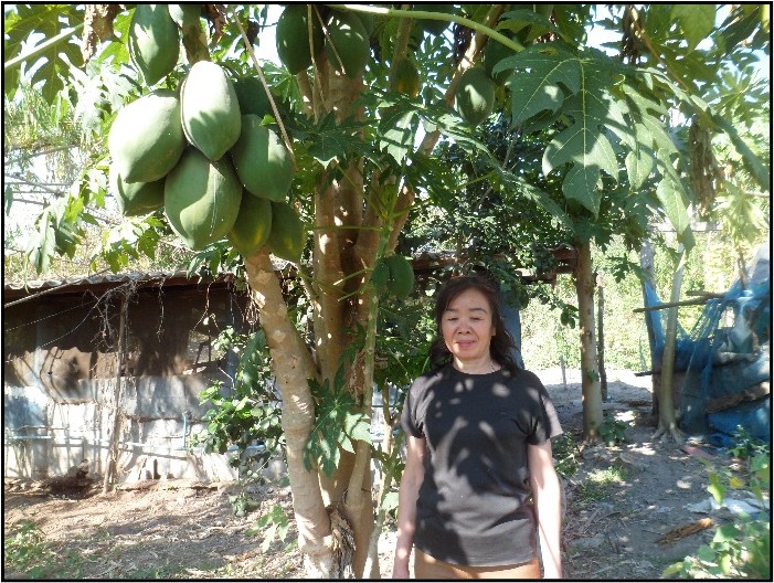 นางอำพร แก้วปัญญา